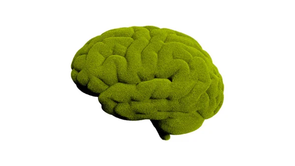 Grass Brain Computer Illustration — Stock Photo, Image