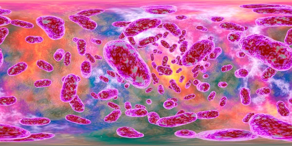 Porphyromonas Gingivalis Oral Bacterium 360 Graus Vista Panorâmica Ilustração Computador — Fotografia de Stock