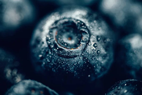 Closeup Fresh Blueberries — Stock Photo, Image