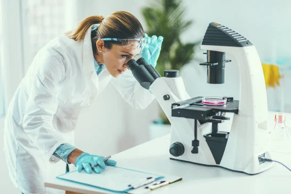 Scientifique Cherchant Un Echantillon Dans Une Boite De Petri Au Microscope Photonique Biotechnologie Femme Adulte Moyenne Stock Photo Scientifique Cherchant Un Echantillon Dans Une Boite De Petri Au Microscope Photonique Biotechnologie Femme Adulte Moyenne Stock Photo