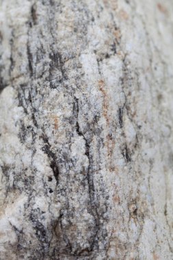 Mable doku yakın çekim arka plan