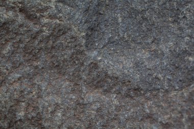 Mable doku yakın çekim arka plan