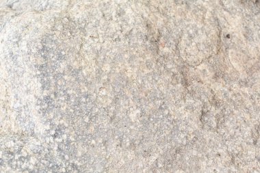 Mable doku yakın çekim arka plan