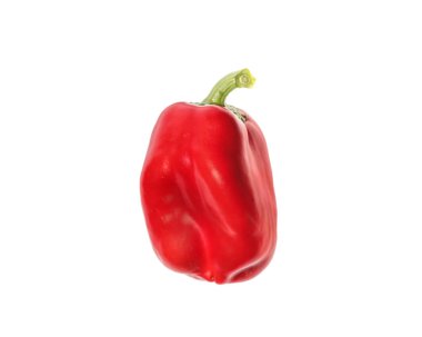 Kırmızı dolma biber beyaz arkaplanda izole edildi