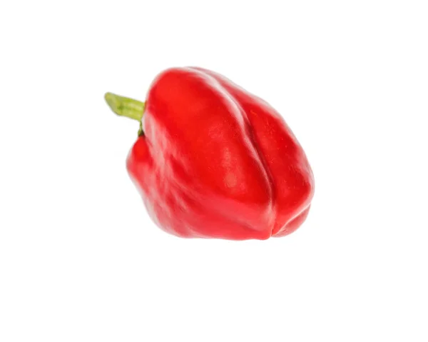 Red Bell Pepper Isolated White Background — Stock Photo, Image