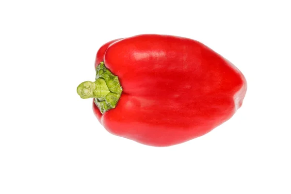 Rote Paprika Isoliert Auf Weißem Hintergrund — Stockfoto