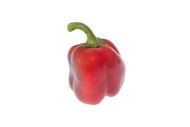 Kırmızı dolma biber beyaz arkaplanda izole edildi