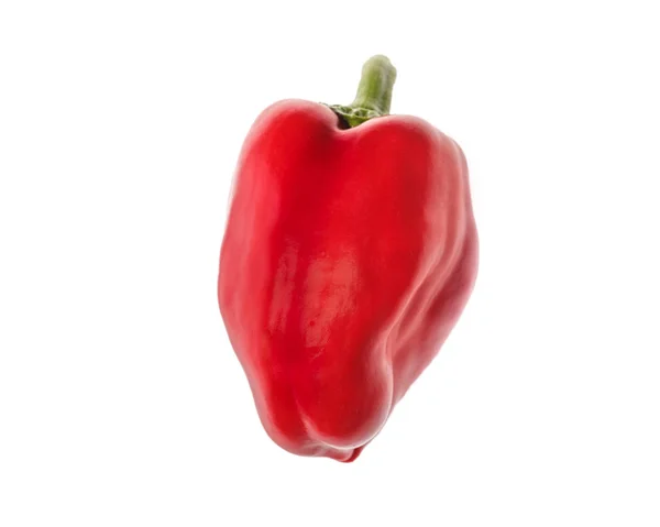 Red Bell Pepper Isolated White Background — Stock Photo, Image