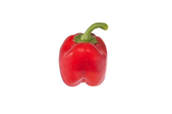 Red Bell Pepper Isolated White Background — Stock Photo, Image