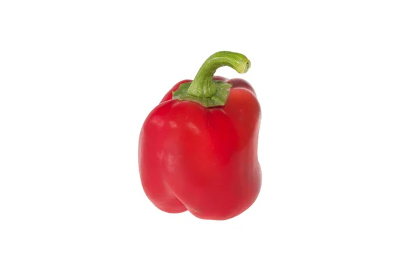 Red Bell Pepper Isolated White Background — Stock Photo, Image