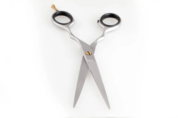 Metal Professional Scissors Haircuts Isolated White Background — Stock Photo, Image