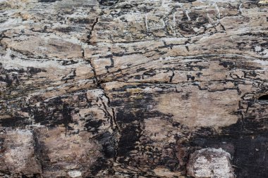 Kırsal ahşap doku, boş ahşap zemin ve doğal desen.