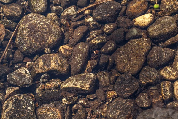 River Bed - Stones beneath the clear water of a river (stone, texture)