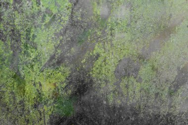 Siyah grunge glassand yeşil yosun arka plan dokusu