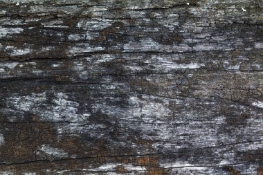 Klasik ahşap arka plan dokusu. Doğal kahverengi ahır ahşap zemin / duvar dokusu arkaplan deseni. Ahşap tahtalar çok eski ve çok güzel bir kırsal görünüş ve stili var..