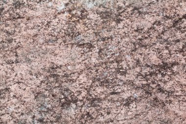 Tasarımınızın (sıva duvar doku)