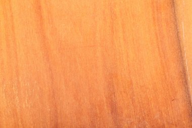 ahşap doku doğal model ağacı