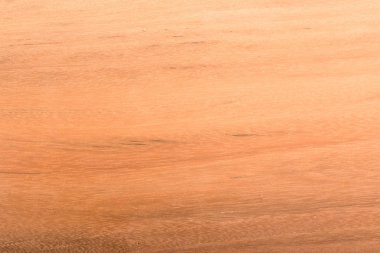 ahşap doku doğal model ağacı