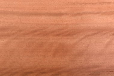 ahşap doku doğal model ağacı