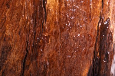 Antika ahşap arka plan doku. Doğal kahverengi ahır