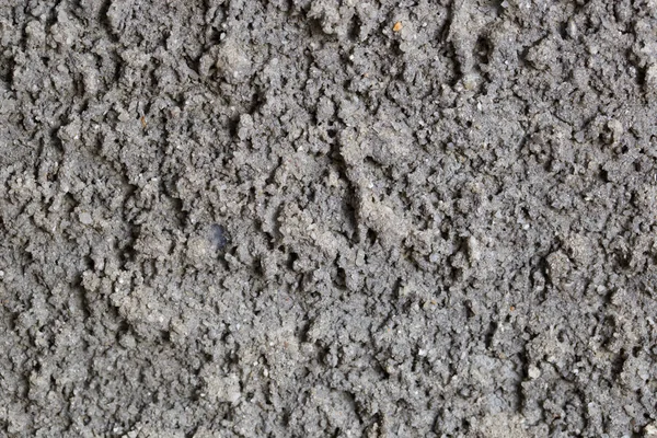 Grunge Vägg Textur Cement — Stockfoto