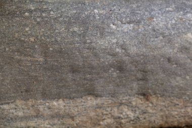 Mable doku yakın çekim arka plan