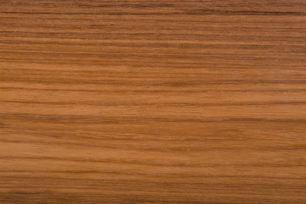 Cedar Wood Panels Color Texture — Stock Photo, Image