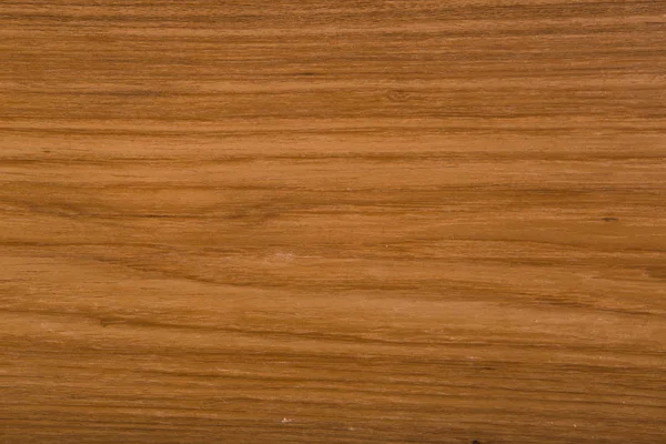 Cedar wood panels color texture