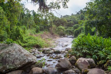 Güzel Beyaz Taş 'ın Şelale Graunası, Paraty - Grauna Rio de Janeiro