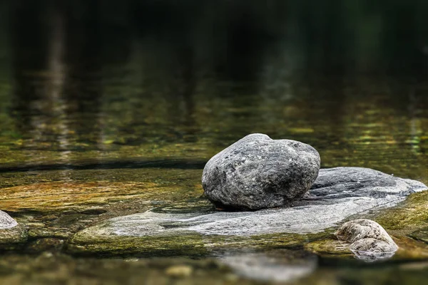 Kiviä Rannikolla Tekstuuri Kivi Vesi — kuvapankkivalokuva