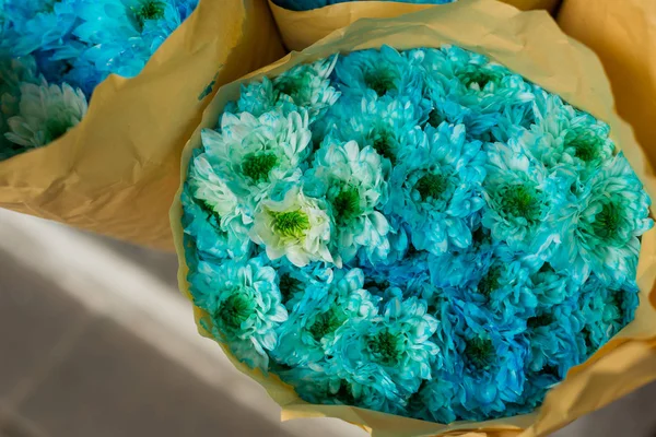 Blue chrysanthemums in a flower shop. A bouquet of chrysanthemums. Chrysanthemum Flower. Blue flowers