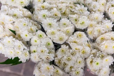 Çiftçinin pazar beyaz çiçek buketi yakın çekim
