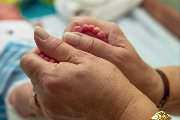 Newborn Baby Feet Cupped Grandmothers Hands Love — Stock Photo, Image