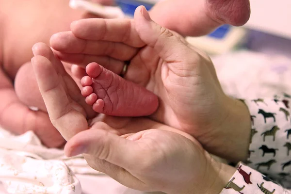 Recém Nascido Bebê Pés Bebido Mães Mãos Bem Estar — Fotografia de Stock