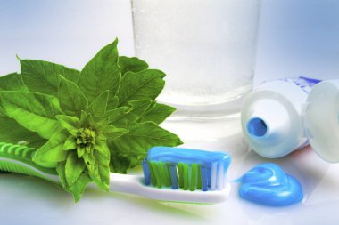 Diş fırçası diş macunu yakınındaki beyaz bitki ile arka plan izole değil.