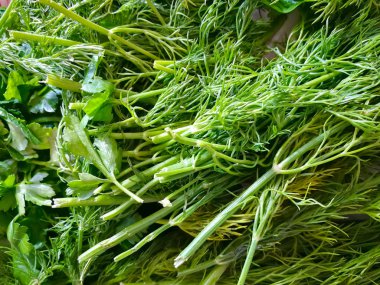 Yıkanmış dereotu, maydanoz, yalan