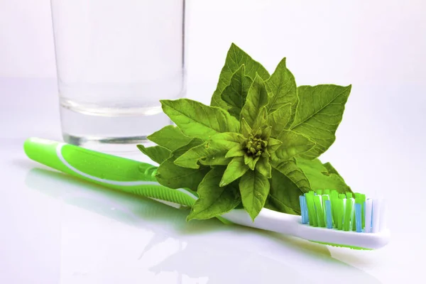 Diş fırçası diş macunu yakınındaki beyaz bitki ile arka plan izole değil.