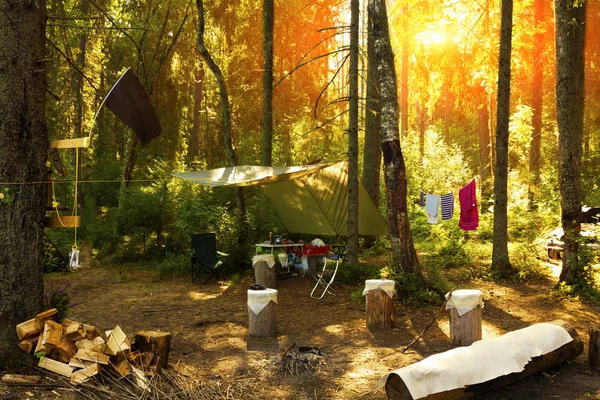 Spontan turist Ladin ormanda otopark.