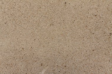 Duvarda, açık renkli sıva kaba kum, arka plan üzerinden