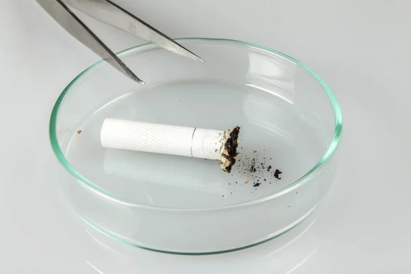 Une Pince Tient Mégot Cigarette Sur Cendrier Verre — Photo