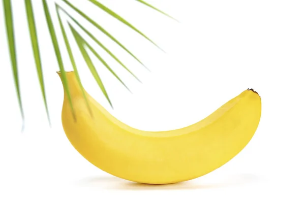 Чотири Свіжих Банана Білому Тлі Тіні — стокове фото