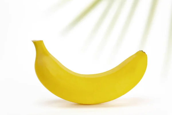 Banana Fundo Branco Com Raminho Paprotnik — Fotografia de Stock