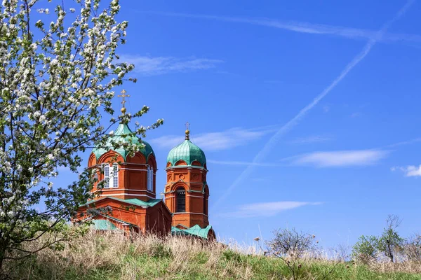 Kilisenin arka plan üzerinde çiçek açan elma ağacı.
