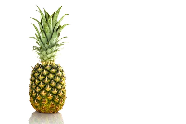 Pine Apple White Background — Stock Photo, Image