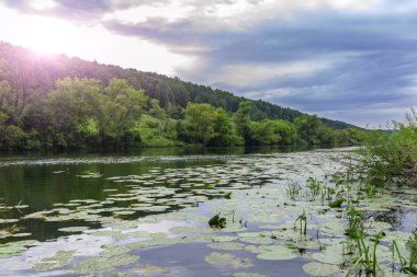 Nilüferler Nehri'nin yüksek bir zemine karşı Nehri üzerinde