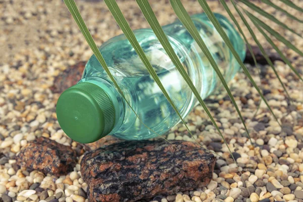 Eine Wasserflasche liegt auf einem Steinstrand im Schatten eines Farns — Stockfoto