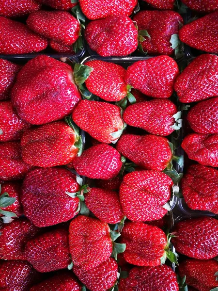 Große saftige Erdbeeren liegt in Reihen in Großaufnahme — Stockfoto