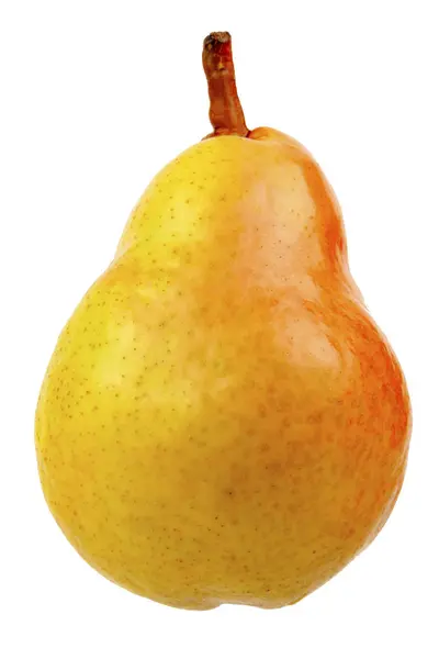 Pear one organic natural pear isolated on white isolated cut out image — Stock Photo, Image