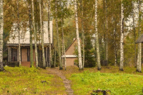 Duas casas na borda da floresta de bétula de outono . — Fotografia de Stock