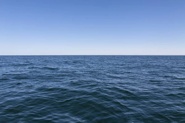 Arka plan, denizin küçük dalgaları ve üstlerinde mavi gökyüzü.